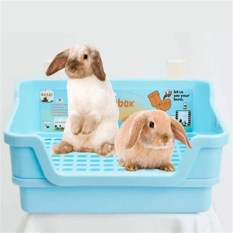 metal litter box for rabbits|bun box for bunnies.